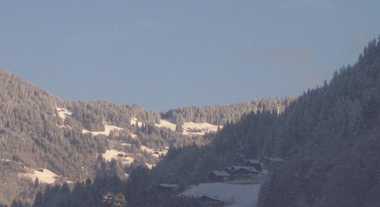 Panoramablick Daire Schruns Dış mekan fotoğraf
